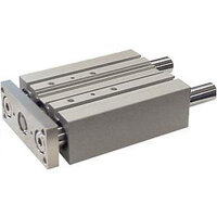 Siłownik z prowadnicami seria MGP (MGPM20TF-50-XC92W) - SMC