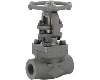 Zasuwa kuta, stal, class800, trim8, gwint zewnętrzny NPT 1''1/4 (113007) - Sferaco