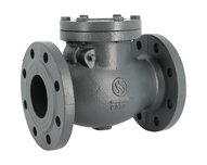 Zawór zwrotny klapowy DN40, uszczelnienie EPDM, żeliwo, seria 362 (362040) – Sferaco