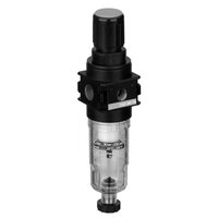 Filtroreduktor NL1-FRE-G018-GAN-100-PNB-HO-05.00 -30CEL (R412007618) - Aventics