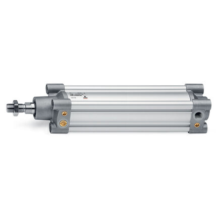Siłownik ISO 15552, podwójnego działania, śr.=80, skok=40 (63MP2C080A0040V) seria 63 - Camozzi