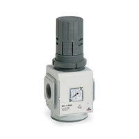 Filtr (MX2-1/2-R004-TF), serii MX - Camozzi