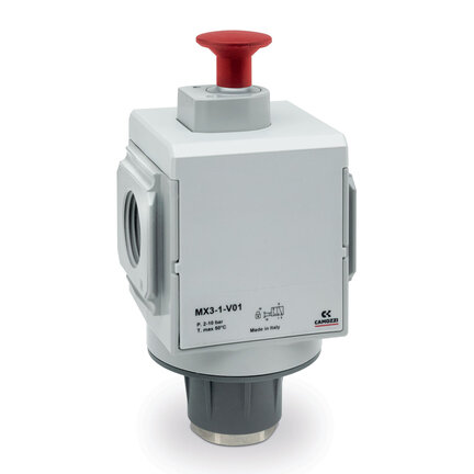 Filtr (MX2-1/2-V01-TF), serii MX - Camozzi