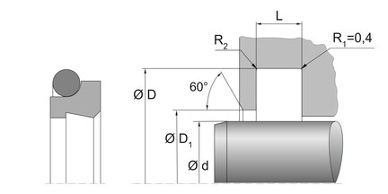 Zgarniacz podwójny AD60 2P 30X36,8X5 PT0098 (67082870) - Dichtomatik