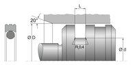 Uszczelka obrotowa RPORA32 2T 20X15,1X2,2 PT0098 (67110400) - Dichtomatik