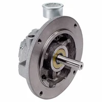 Silnik pneumatyczny 2,15 Nm, 3000 obr./min (2AM-NCC-43A) - Gast