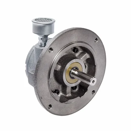 Silnik pneumatyczny 3,95 Nm, 3000 obr./min (4AM-ARV-119) - Gast