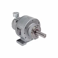 Silnik pneumatyczny 29,37 Nm, 300 obr./min (4AM-RV-75-GR20) - Gast
