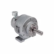 Silnik pneumatyczny 29,37 Nm, 300 obr./min (4AM-RV-75-GR20) - Gast