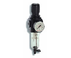 Filtr/regulator Excelon, G1/4, 0,3-10 bar, spust ręczny, wkład filtrujący 40 um, z manometrem (B73G-2GK-QT3-RMG) - Norgren