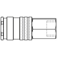 1800KAIW17EVX - Rectus