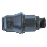 21KBAW10DPX - Rectus