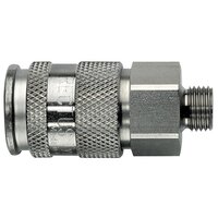 27KBAW17RVX - Rectus