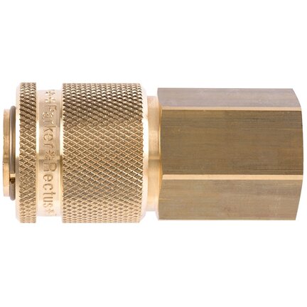 37KAIW21MPX - Rectus