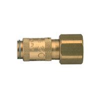 20KAIM05MEN - Rectus