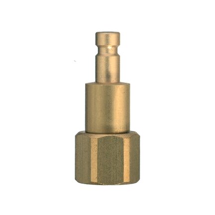 20SBIW10MEN - Rectus