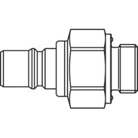 6012SBAO17MVN - Rectus