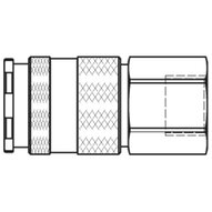 27KAIW21EEX - Rectus