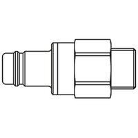 38SBAW21MEX - Rectus