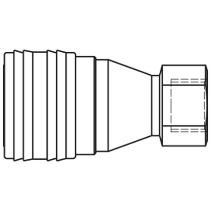 73KBIW17DVX - Rectus