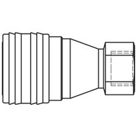 73KBIW17DVX - Rectus