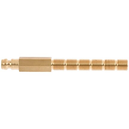 10VN1010MXX - Rectus