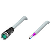 Gniazdo kablowe, ekranowane V31-GM-10M-PVC-ABG (70114435) - Pepperl + Fuchs