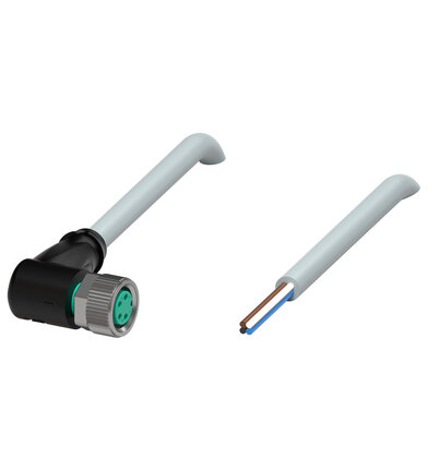 Złącze żeńskie V31-WM-2M-PVC (109032) - Pepperl + Fuchs
