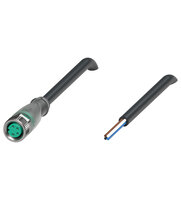 Złącze żeńskie V31-GM-A2-BK5M-PUR-U (240801-0004) - Pepperl + Fuchs