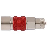 21KBKO06MPN3 - Rectus