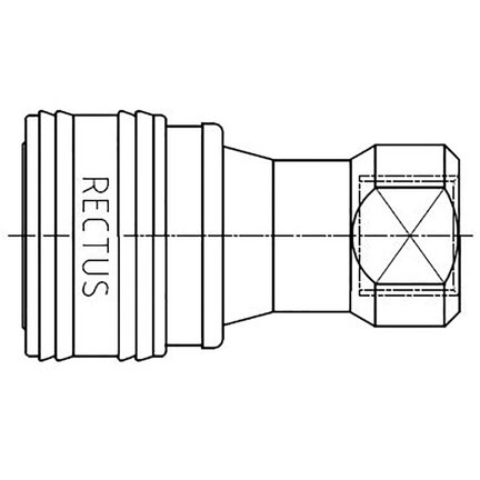 74KFIW21RVX - Rectus