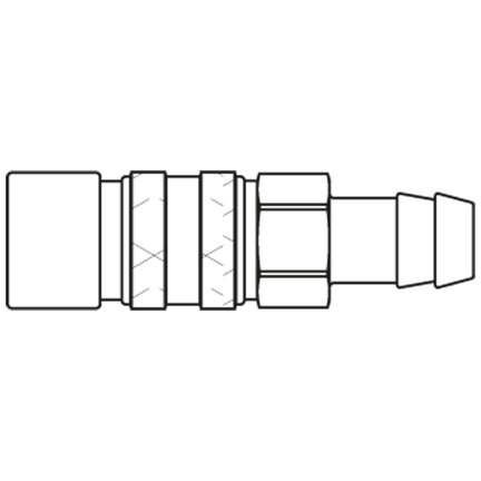 21KATF06MVN3 - Rectus