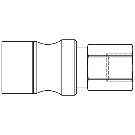 204KLIW10MVN - Rectus