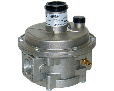 Filtry redukcyjne gazu 5 bar - FRG/2MCS - Sectoriel