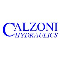 Calzoni