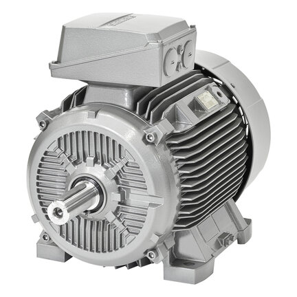 Silnik trójfazowy  (1LE1003-0EA40-2FA4) - Siemens