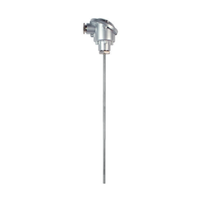Wkręcany czujnik temp. PT 100, L=300mm, d=6mm - CS Instruments