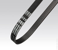 Pas wielorowkowy (1 PH 1262 RB) - OPTIBELT