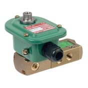 Elektrozawór NFETG551B301 24/50-60, seria 551 - ASCO