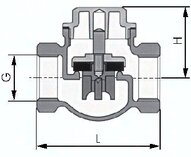 Zawór zwrotny G 2-1/2", wersja ciężka PN20, brąz