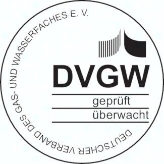 Zawór zwrotny skośny Rp 2-1/2", PN10, wersja DVGW, mosiądz