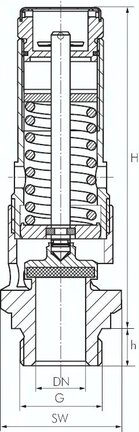 Zawór bezpieczeństwa o wysokiej wydajności TÜV G 1/2 (2,0 bar), stal nierdzewna
