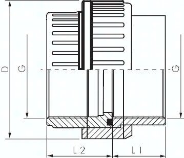 Śrubunek gwintowany, PVCU/ FPM, Rp 2"(GW)